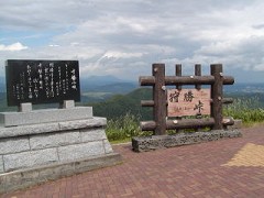 돟